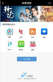 小视频 收费,揭秘热门小视频背后的收费秘密