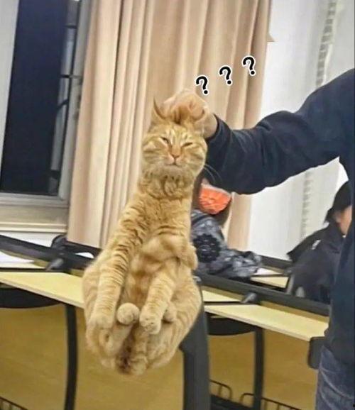 买丝袜被当成劫匪,一场意外的误会