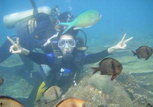 三亚潜水女生爆料视频,惊险水下遭遇及真实潜水体验揭秘