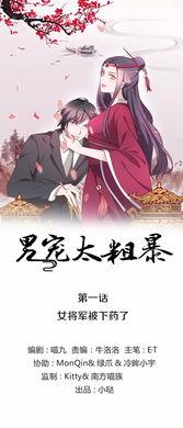 我的老公是男宠,我的老公的非凡人生