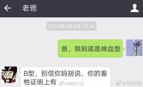 爆料新闻的图片搞笑,揭秘新闻界的“笑果”瞬间