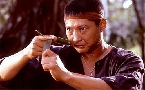 功夫明星下场,传奇身影的银幕内外传奇