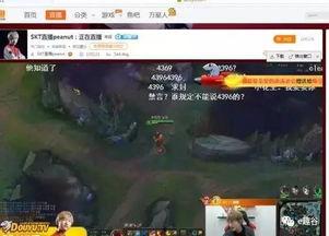 小花生直播视频播放,精彩瞬间回顾，带你领略直播魅力