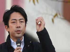 日本政坛王子,日本王子在政坛的崛起与挑战