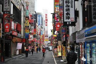 南京导游爆料新闻,揭秘古都背后的不为人知故事