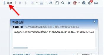 AV面试磁力链接 下载