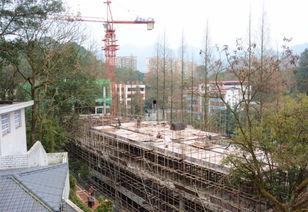 重庆梁平爆料最新消息,揭秘事件背后真相